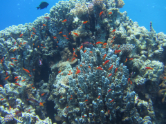 Ägypten 2014