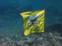 Ägypten 2014