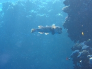 Ägypten 2014