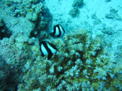 Ägypten 2014