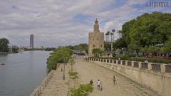 Torre del Oro (Sevilla)