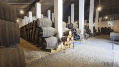 Bodegas Cayetano del Pino. Vinos de Jerez