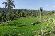 Irgendwo auf Nord-Bali