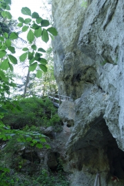 Wandern-Steinbachklamm