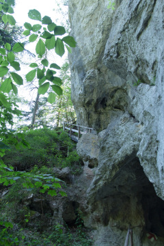 Wandern-Steinbachklamm