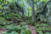 Ruine Odenbourg