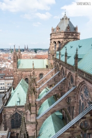 Strassbourg Aussicht von der Kathedrale