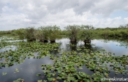Everglades National Park
