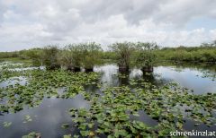 Everglades National Park