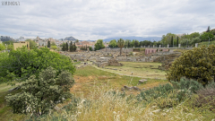 DSC05802