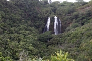 Kauai - Opaeka'a Falls