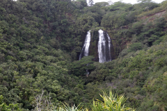 Kauai - Opaeka'a Falls