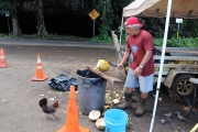 Kauai - Der KokosnussMann
