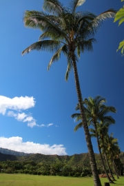 Kauai