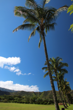 Kauai