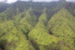 Kauai