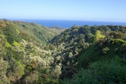 Maui - Road to Hana