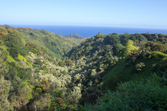 Maui - Road to Hana