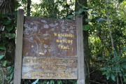 Maui - Road to Hana