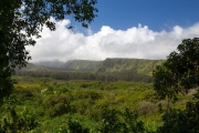 Maui - Road to Hana