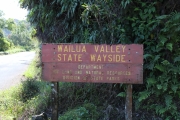 Maui - Road to Hana
