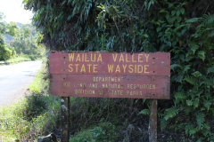 Maui - Road to Hana