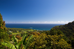 Maui - Road to Hana
