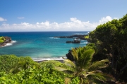 Maui - Waianapanapa State Park