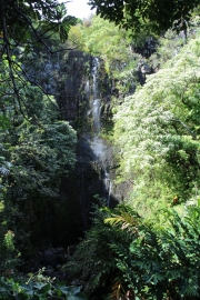 Maui - Road to Hana