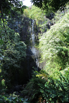 Maui - Road to Hana