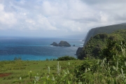 Big Island - Pololu Valley Lookout