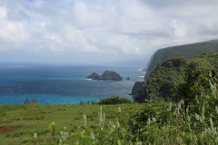 Big Island - Pololu Valley Lookout