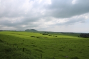 Big Island