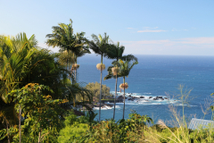Big Island