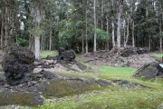 Big Island - Lava Tree Park