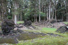 Big Island - Lava Tree Park