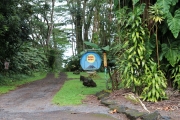 Big Island - Lava Tree Park