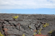 Big Island - Kalapana