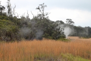 Big Island - Volcanos NP Sulfur Banks