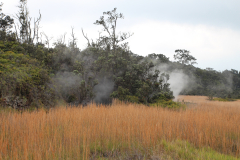 Big Island - Volcanos NP Sulfur Banks