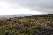 Big Island - Volcanos NP