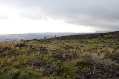 Big Island - Volcanos NP