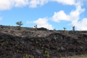 Big Island - Volcanos NP