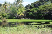 Big Island