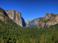 Yosemite National Park
