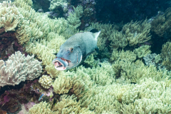 DSC01842