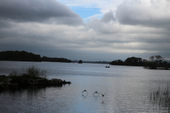 IMG_1802