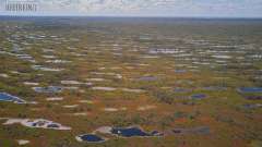 Kemeri Bog Board Walk