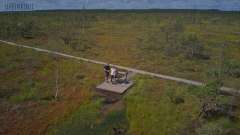 Kemeri Bog Board Walk