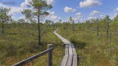 Kemeri Bog Board Walk